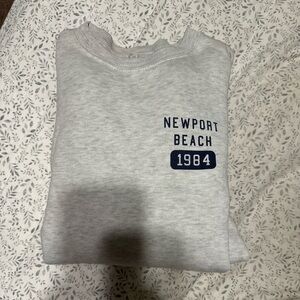 Brandy Melville Gray Newport Sweatshirt
